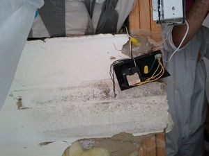 Water Damage Restoration Technician At Work