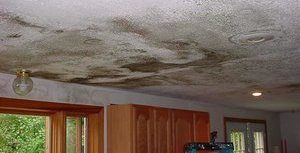 Mold Growth Due To Upstairs Bathroom Flood