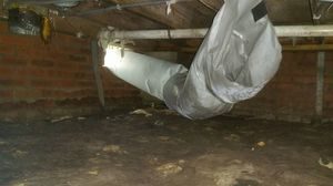 Water Damage and Mold Growth In Crawlspace