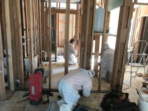 Mold Remediation